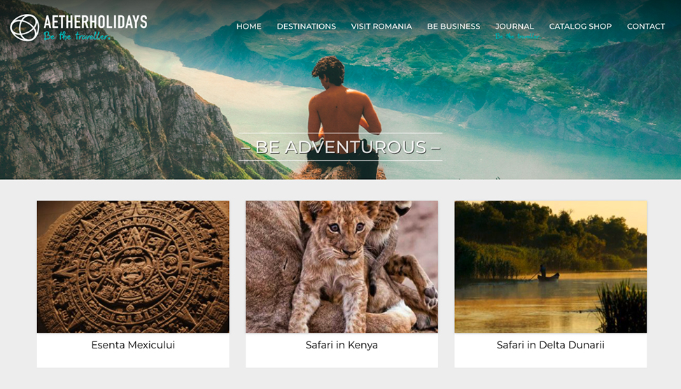 Website Preview