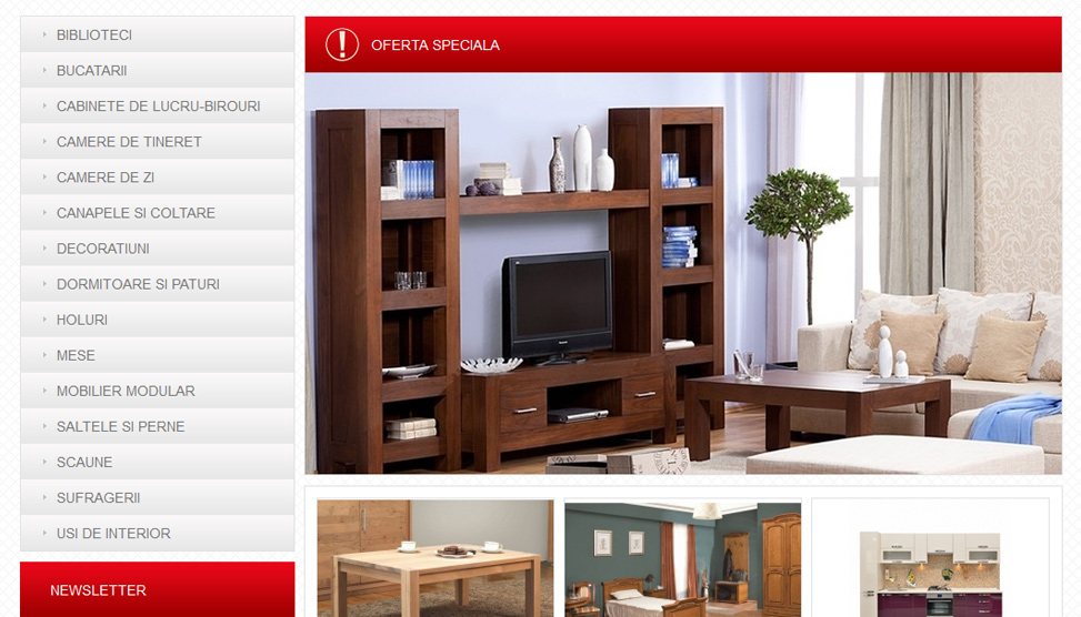 Website Preview
