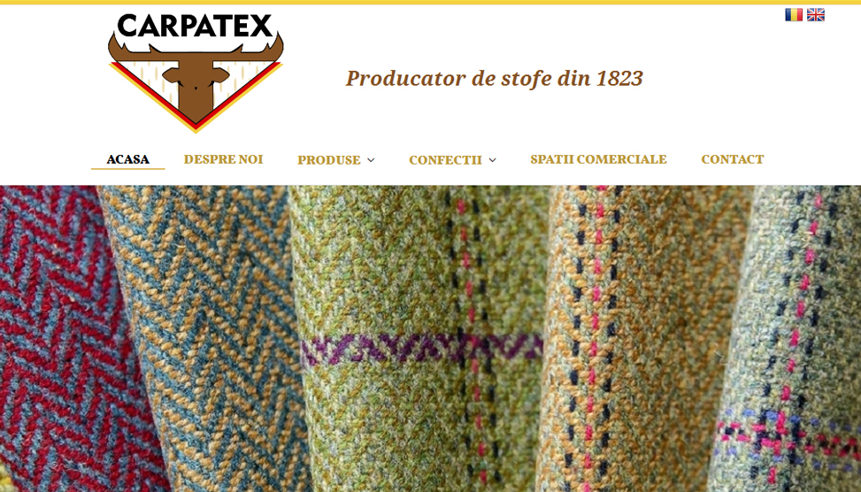 Website Preview