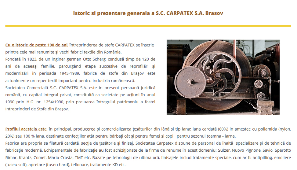 Website Preview