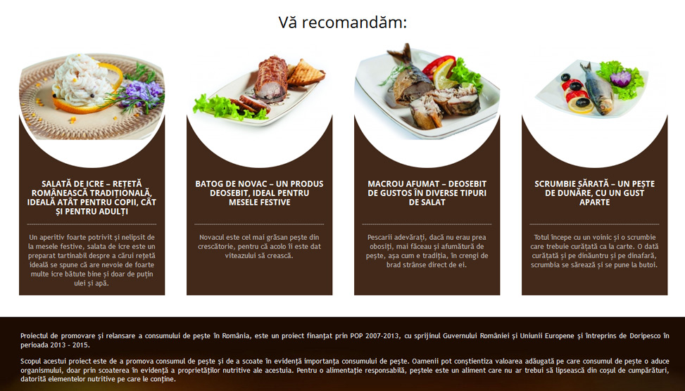 Website Preview