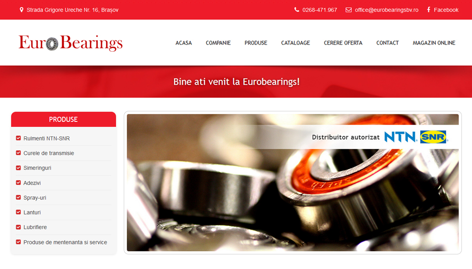 Website Preview