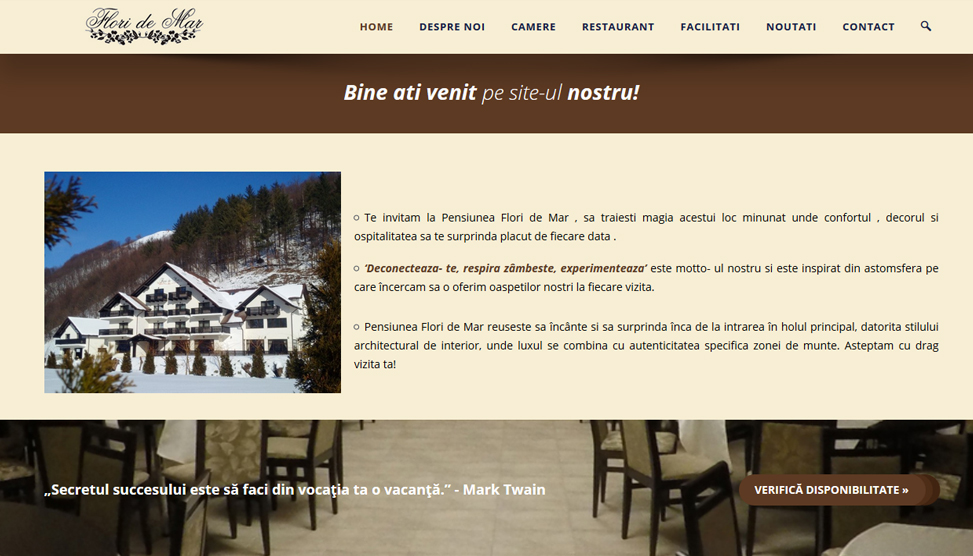 Website Preview