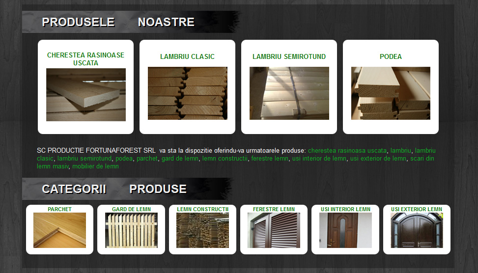 Website Preview