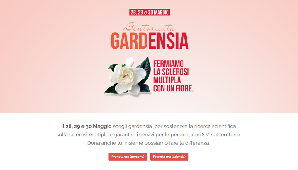 Website Preview