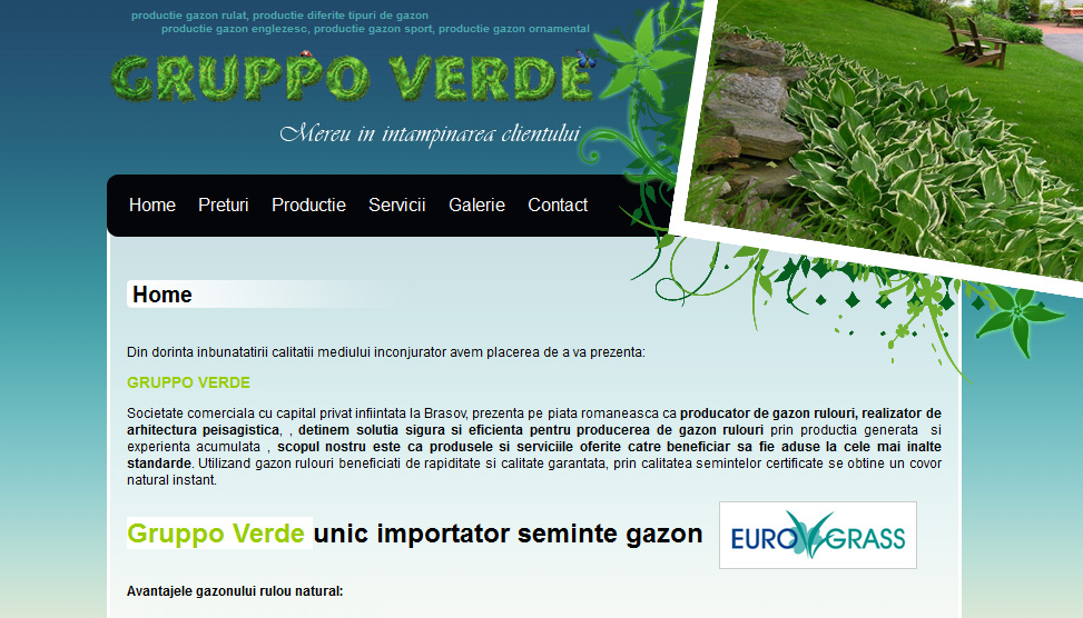 Website Preview