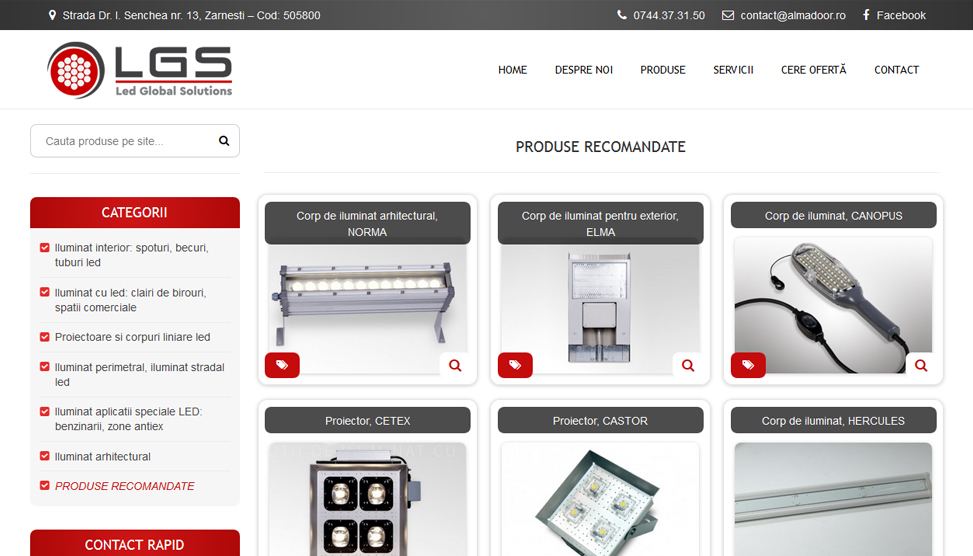 Website Preview