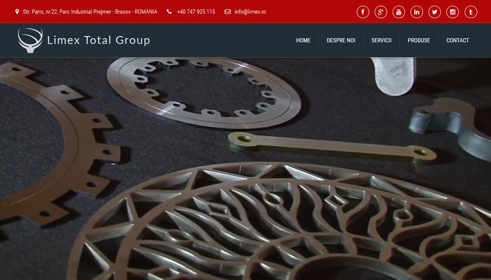 Website Preview
