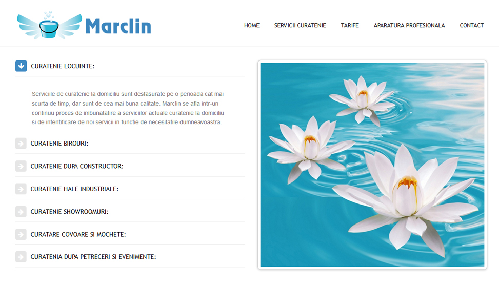 Website Preview