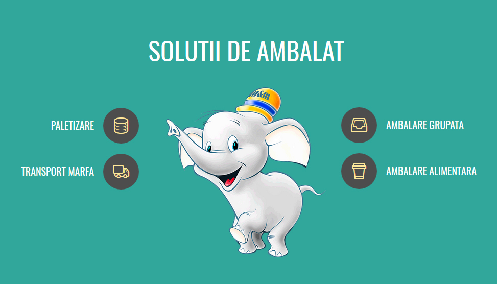 Website Preview