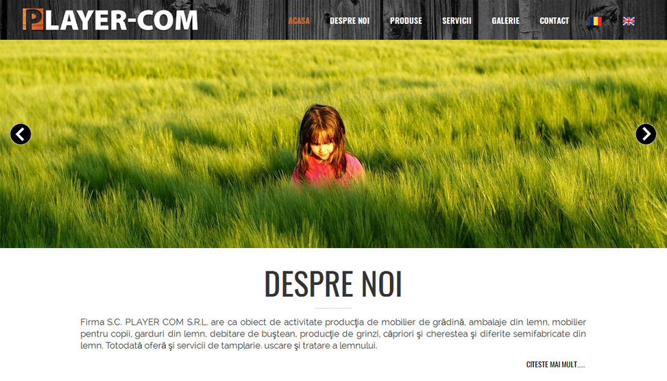 Website Preview