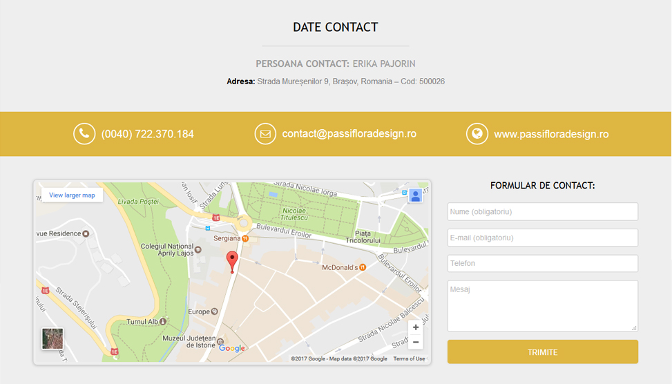 Website Preview