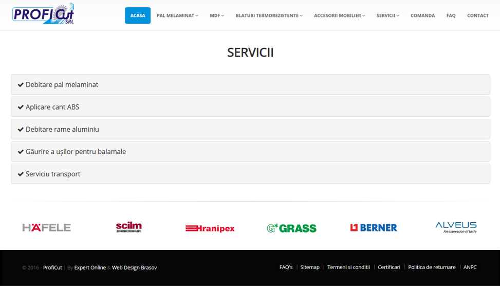 Website Preview