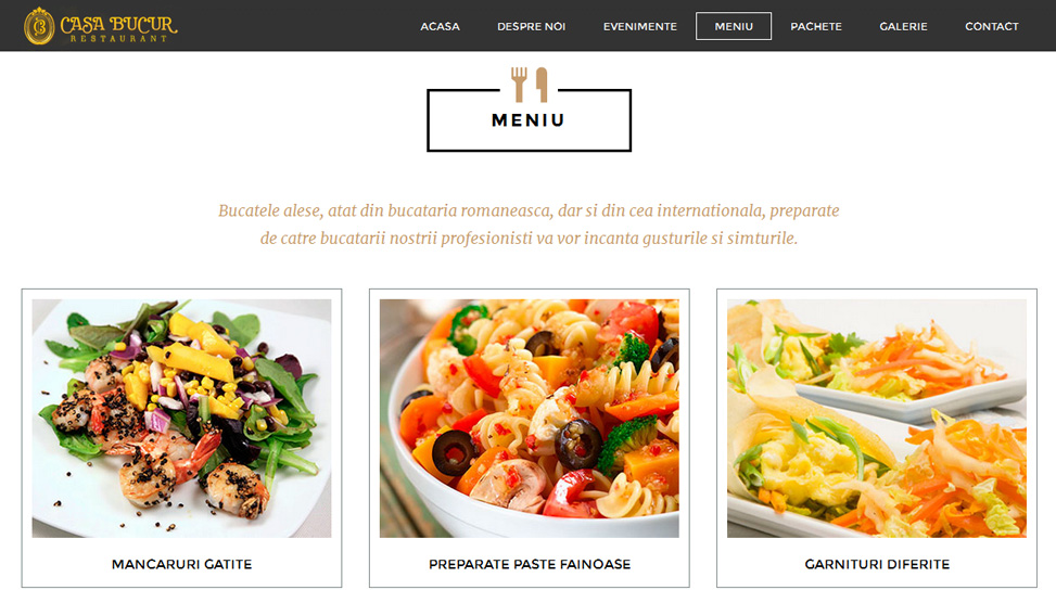 Website Preview