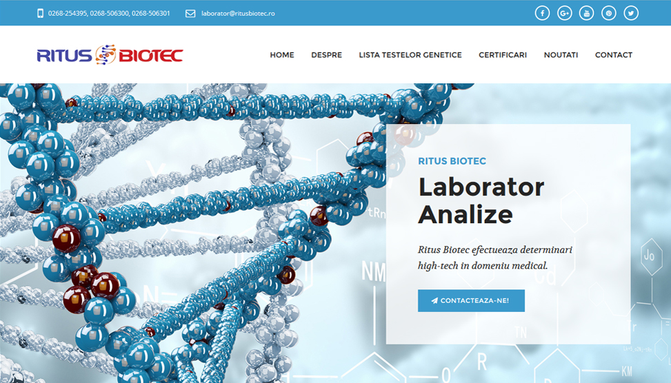Website Preview