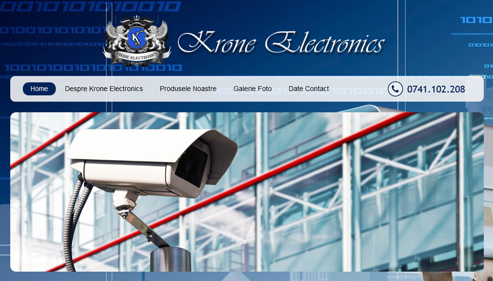 Website Preview