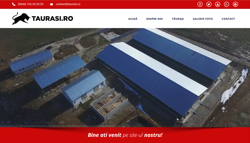 Website Preview