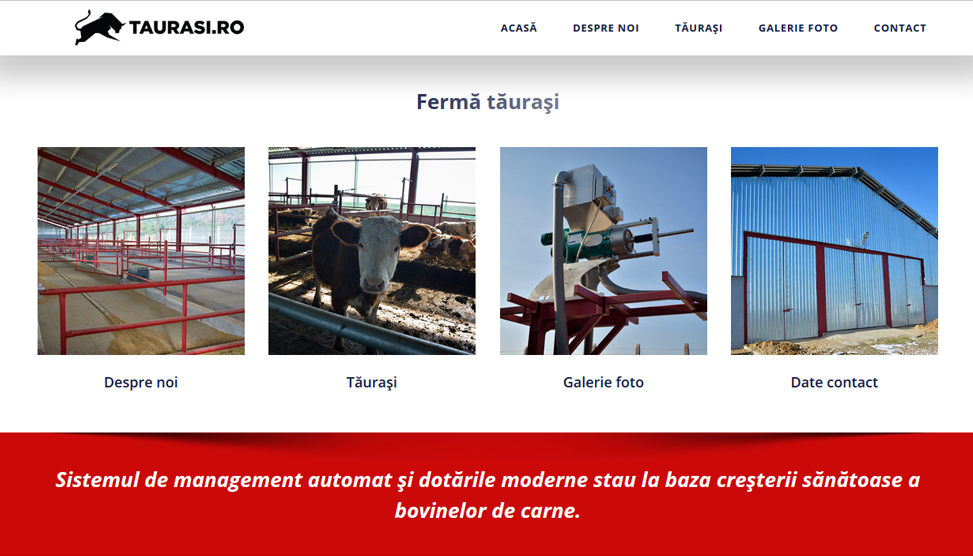 Website Preview