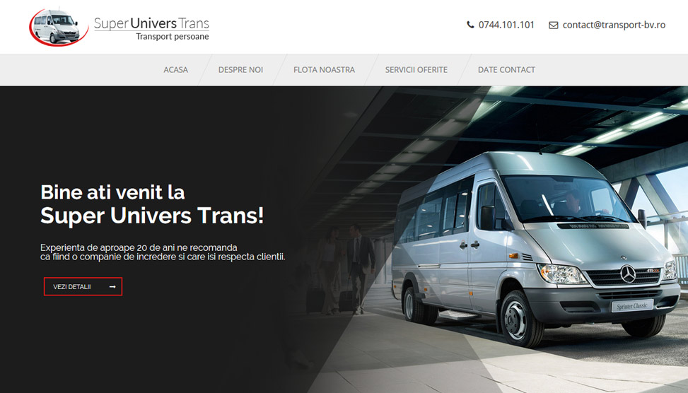 Website Preview